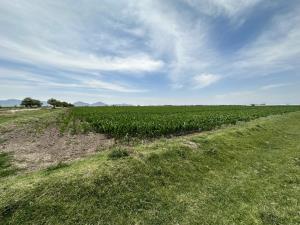Terreno en venta en Maravillas, Matamoros, Coahuila de Zaragoza
