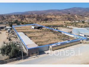 Terreno en renta en San Carlos (Ejido Nacionalista), Ensenada, Baja California