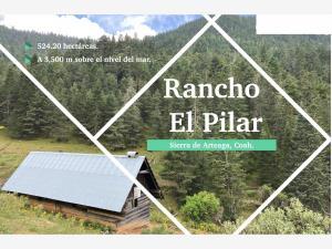 Finca-Rancho en venta en Puerto Carbonera, Arteaga, Coahuila de Zaragoza