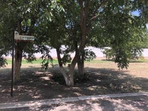 Terreno en venta en San Armando, Torreón, Coahuila de Zaragoza
