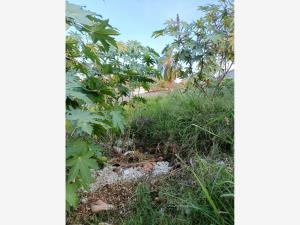 Terreno en venta en Las Fincas, Jiutepec, Morelos