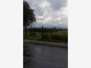 Terreno en venta en San Miguel Totocuitlapilco, Metepec, México