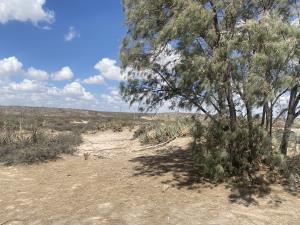 Terreno en venta en San Antonio del Jaral, General Cepeda, Coahuila de Zaragoza