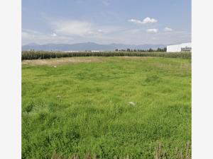 Terreno en venta en San Blas Otzacatipan, Toluca, México