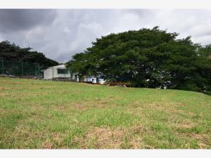 Terreno en venta en El Chivato (Providencia), Villa de Álvarez, Colima