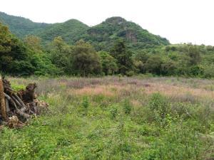 Terreno en venta en San Nicolás, Malinalco, México