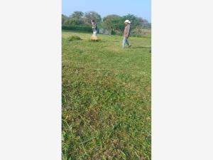 Terreno en venta en La Palma (Tercera Manzana del Barreal), Córdoba, Veracruz de Ignacio de la Llave