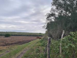 Terreno en venta en Tres de Abril (Noche Buena), Soto la Marina, Tamaulipas