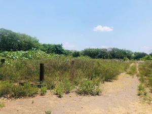 Terreno en venta en La Bocana (Dos Bocas), Medellín de Bravo, Veracruz de Ignacio de la Llave