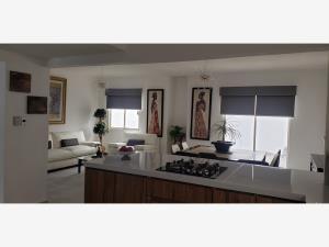 Casa en renta en Cipreses, Torreón, Coahuila de Zaragoza