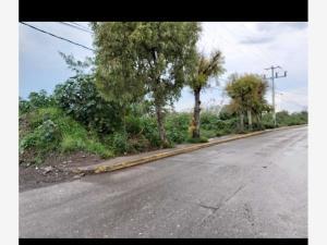 Terreno en venta en Lázaro Cárdenas (Zona Hornos), Tultitlán, México