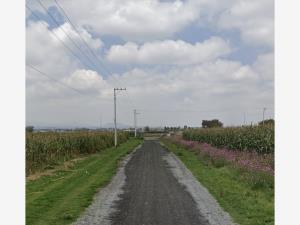 Terreno en venta en San Miguel Totocuitlapilco, Metepec, México