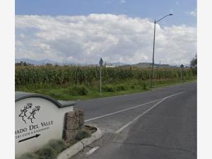 Terreno en venta en San Miguel Totocuitlapilco, Metepec, México