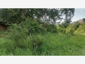 Terreno en venta en Cocoyoc, Yautepec, Morelos