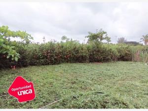 Terreno en venta en El Tejar, Medellín de Bravo, Veracruz de Ignacio de la Llave
