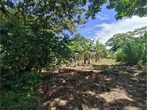 Terreno en venta en Monte Salas, Fortín, Veracruz de Ignacio de la Llave
