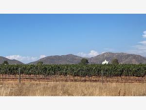 Terreno en venta en El Porvenir (Guadalupe), Ensenada, Baja California