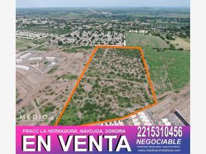 Terreno en venta en La Herradura, Navojoa, Sonora