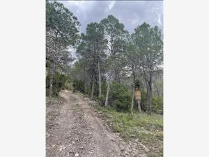 Terreno en venta en Jame, Arteaga, Coahuila de Zaragoza