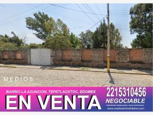 Quinta en venta en La Loma (La Loma San Isidro), Tepetlaoxtoc, México