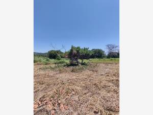 Terreno en venta en Santa María Colotepec, Santa María Colotepec, Oaxaca