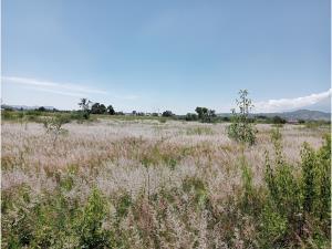 Terreno en venta en San Juan Cuautlancingo, Cuautlancingo, Puebla