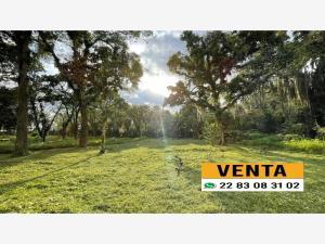 Terreno en venta en Briones, Coatepec, Veracruz de Ignacio de la Llave