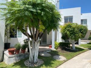 Casa en venta en Paseos de Xochitepec, Xochitepec, Morelos Casa en venta en Paseos de Xochitepec, Xochitepec, Morelos