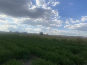 Terreno en venta en San Miguel Totocuitlapilco, Metepec, México