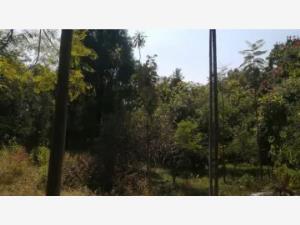 Terreno en venta en Leandro Valle, Jonacatepec de Leandro Valle, Morelos