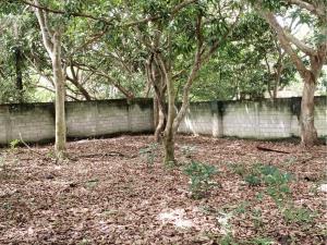 Terreno en venta en El Zapote, Alvarado, Veracruz de Ignacio de la Llave Terreno en venta en El Zapote, Alvarado, Veracruz de Ignacio de la Llave