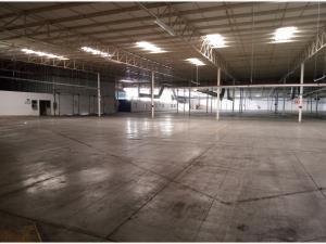 Nave en renta en Parque Industrial Carlos A Herrera Araluce, Gómez Palacio, Durango
