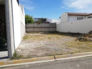 Terreno en venta en Residencial Frondoso, Torreón, Coahuila de Zaragoza Terreno en venta en Residencial Frondoso, Torreón, Coahuila de Zaragoza