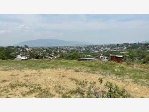 Terreno en venta en San Felipe del Agua, Oaxaca de Juárez, Oaxaca