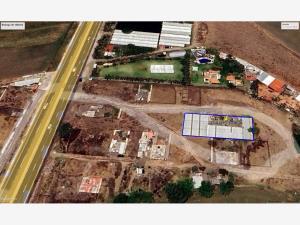 Bodega en venta en Santa Ana Coatepec, Huaquechula, Puebla
