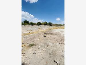 Terreno en renta en Valle Verde, Torreón, Coahuila de Zaragoza