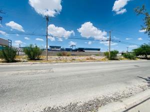 Terreno en renta en Nueva California, Torreón, Coahuila de Zaragoza