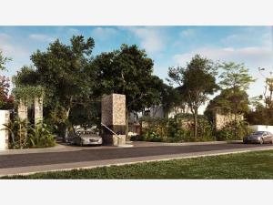 Terreno en venta en Santa Gertrudis Copo, Mérida, Yucatán