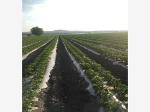 Terreno en venta en La Estancia, San Juan del Río, Querétaro