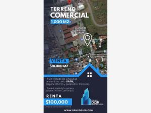 Terreno en renta en Vista Hermosa, Cuernavaca, Morelos
