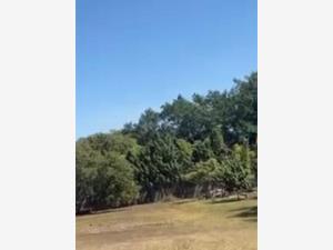 Terreno en venta en Suchitlan, Comala, Colima