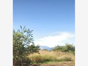 Terreno en venta en Las Lagunas, Villa de Álvarez, Colima Terreno en venta en Las Lagunas, Villa de Álvarez, Colima