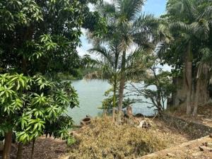 Terreno en venta en Adolfo Lopez Mateos, Centro, Tabasco