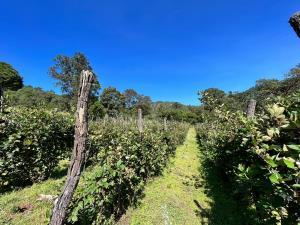 Terreno en venta en Mil Cumbres, Morelia, Michoacán de Ocampo