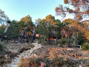 Finca-Rancho en venta en San Antonio de las Alazanas, Arteaga, Coahuila de Zaragoza