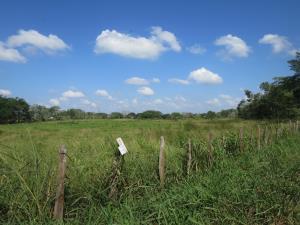 Terreno en venta en El Country, Centro, Tabasco