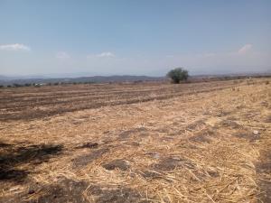 Terreno en venta en Tequesquitengo, Jojutla, Morelos