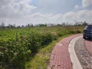 Terreno en venta en San Bartolomé Aguas Calientes, Apaseo El Alto, Guanajuato