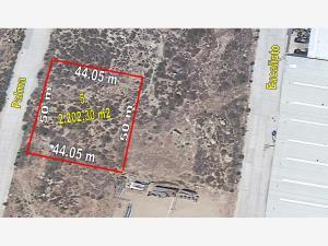 Terreno en venta en Industrial, Tecate, Baja California