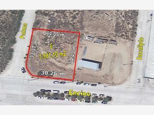 Terreno en venta en Industrial, Tecate, Baja California